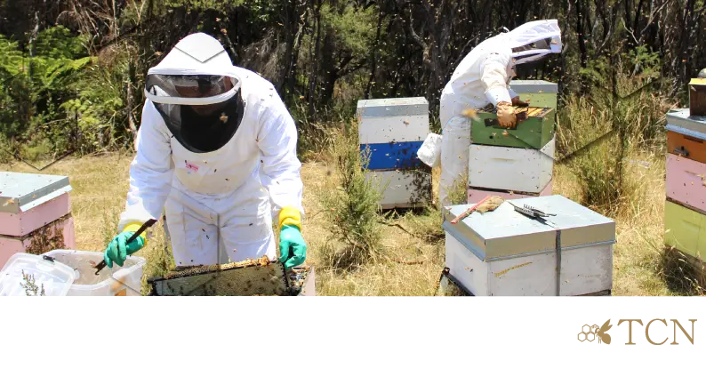 genuine Japanese Quality