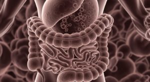 The Health of Japanese People and Gut Flora