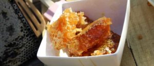 Manuka Honey Production in New Zealand